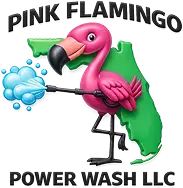 Pink Flamingo Power Wash